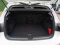 Volkswagen Golf 8 1.5 TSI 130PK Life | Ambient | Carplay | Lounge Weiß - thumbnail 15