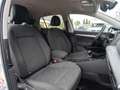 Volkswagen Golf 8 1.5 TSI 130PK Life | Ambient | Carplay | Lounge Weiß - thumbnail 35