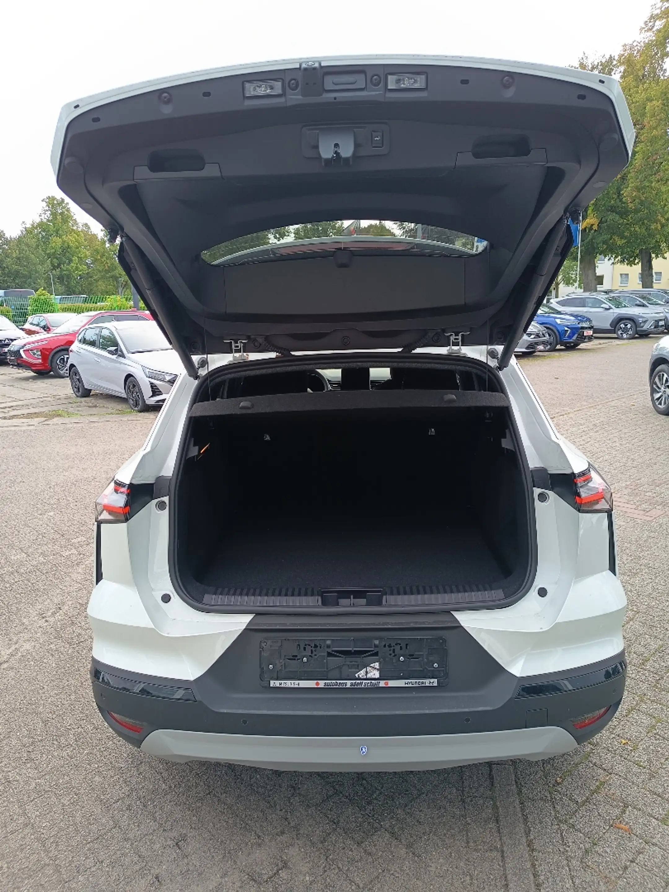 Mitsubishi Grandis Intro Edition 1.8 Hybrid — photo 7