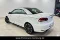Volkswagen Eos 2.0 TDI Exclusive BMT|PANO|AHK|STANDHZG|NAVI Wit - thumbnail 7
