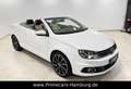 Volkswagen Eos 2.0 TDI Exclusive BMT|PANO|AHK|STANDHZG|NAVI Wit - thumbnail 5