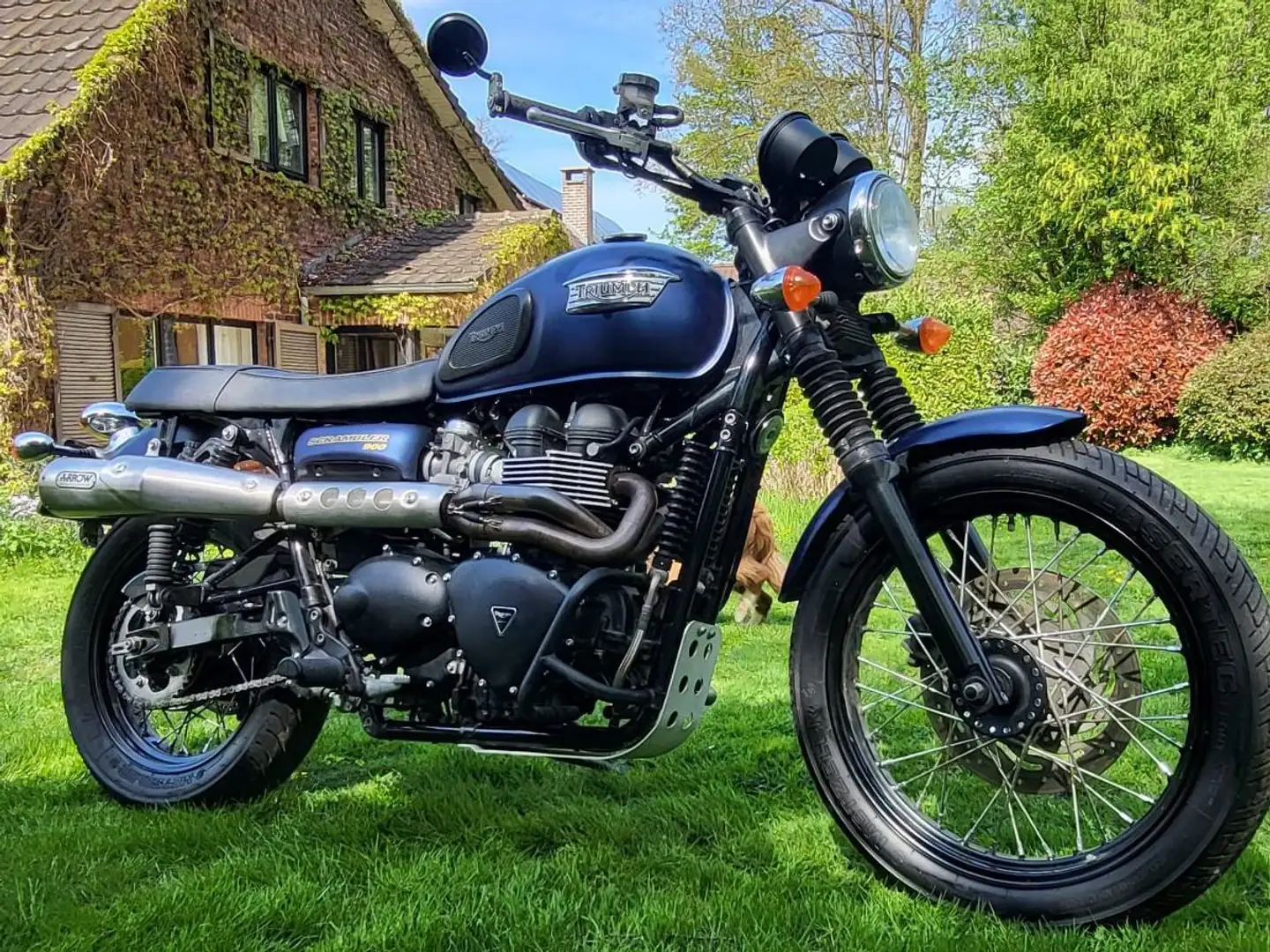 Triumph Scrambler Blauw - 1
