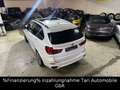 BMW X5 xDrive40d M-Sportpaket Special Edition Vollll Weiß - thumbnail 4