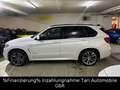 BMW X5 xDrive40d M-Sportpaket Special Edition Vollll Weiß - thumbnail 3