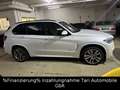 BMW X5 xDrive40d M-Sportpaket Special Edition Vollll Weiß - thumbnail 12