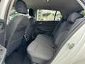 Volkswagen Golf VIII 1.5 eTSI DSG Life Navi R.Kamera ACC Blanc - thumbnail 13