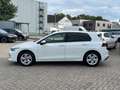 Volkswagen Golf VIII 1.5 eTSI DSG Life Navi R.Kamera ACC Blanc - thumbnail 4