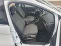 Ford C-Max C-MAX Titanium Allwetter Pandach Garantie! Weiß - thumbnail 13