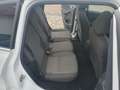 Ford C-Max C-MAX Titanium Allwetter Pandach Garantie! Weiß - thumbnail 12