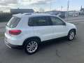 Volkswagen Tiguan 2,0 TDI SCR Lounge Pickerl neu bis 10/2026 Fina... Weiß - thumbnail 3