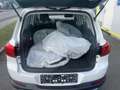 Volkswagen Tiguan 2,0 TDI SCR Lounge Pickerl neu bis 10/2026 Fina... Weiß - thumbnail 10