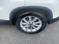 Volkswagen Tiguan 2,0 TDI SCR Lounge Pickerl neu bis 10/2026 Fina... Weiß - thumbnail 19