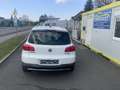 Volkswagen Tiguan 2,0 TDI SCR Lounge Pickerl neu bis 10/2026 Fina... Weiß - thumbnail 5