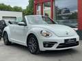 Volkswagen Beetle Cabriolet Sound Blanco - thumbnail 3