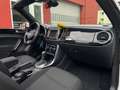 Volkswagen Beetle Cabriolet Sound Blanco - thumbnail 38