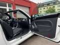 Volkswagen Beetle Cabriolet Sound Blanco - thumbnail 34