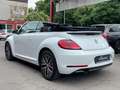 Volkswagen Beetle Cabriolet Sound Blanco - thumbnail 13