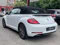 Volkswagen Beetle Cabriolet Sound Blanco - thumbnail 12