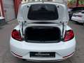 Volkswagen Beetle Cabriolet Sound Blanco - thumbnail 31