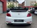 Volkswagen Beetle Cabriolet Sound Blanco - thumbnail 11