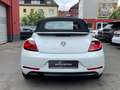 Volkswagen Beetle Cabriolet Sound Blanco - thumbnail 10