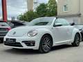 Volkswagen Beetle Cabriolet Sound Blanco - thumbnail 7