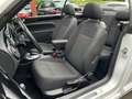 Volkswagen Beetle Cabriolet Sound Blanco - thumbnail 29