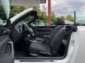 Volkswagen Beetle Cabriolet Sound Blanco - thumbnail 17