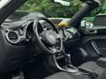 Volkswagen Beetle Cabriolet Sound Blanco - thumbnail 16