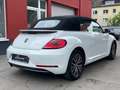 Volkswagen Beetle Cabriolet Sound Blanco - thumbnail 8