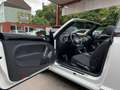 Volkswagen Beetle Cabriolet Sound Blanco - thumbnail 15