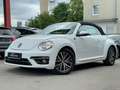 Volkswagen Beetle Cabriolet Sound Blanco - thumbnail 1