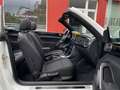 Volkswagen Beetle Cabriolet Sound Blanco - thumbnail 35