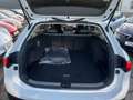 Volkswagen Passat Variant 2.0 TDI 4Motion AHK Standheizung Weiß - thumbnail 25