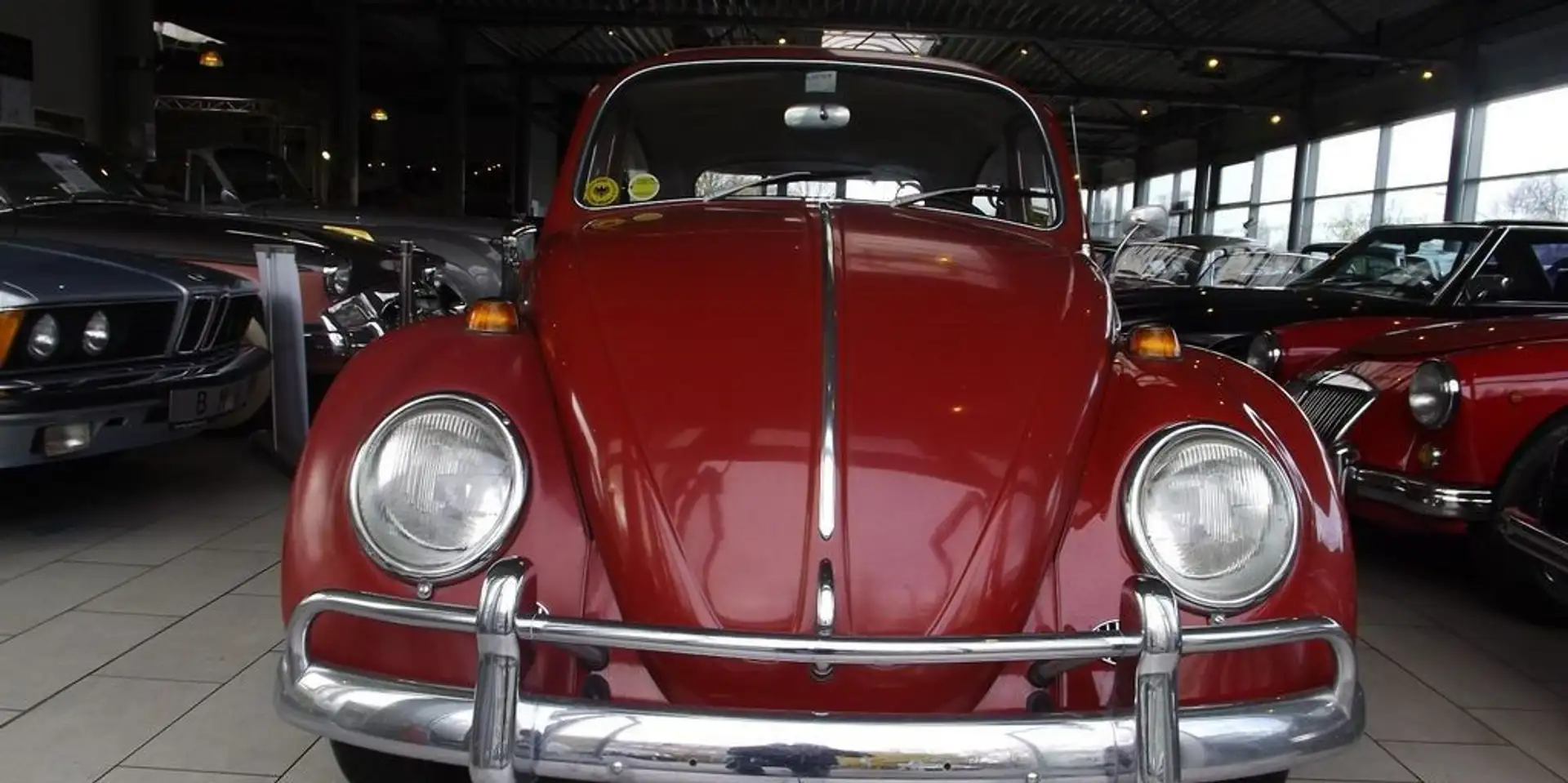 Volkswagen Käfer -  (Adoptivfamilie dringend gesucht) Rojo - 2