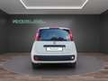 Fiat Panda 1.0 FireFly S&S Hybrid....PREZZO REALE.. Wit - thumbnail 5
