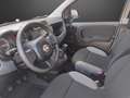 Fiat Panda 1.0 FireFly S&S Hybrid....PREZZO REALE.. Wit - thumbnail 7