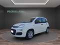 Fiat Panda 1.0 FireFly S&S Hybrid....PREZZO REALE.. Wit - thumbnail 3