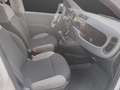 Fiat Panda 1.0 FireFly S&S Hybrid....PREZZO REALE.. Wit - thumbnail 13