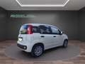 Fiat Panda 1.0 FireFly S&S Hybrid....PREZZO REALE.. Wit - thumbnail 6