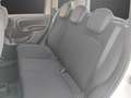 Fiat Panda 1.0 FireFly S&S Hybrid....PREZZO REALE.. Wit - thumbnail 14