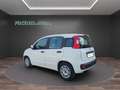Fiat Panda 1.0 FireFly S&S Hybrid....PREZZO REALE.. Wit - thumbnail 4