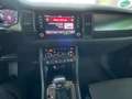 Skoda Kodiaq Sportline mit Panoramadach Grau - thumbnail 21