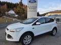 Ford Kuga Trend- ZR Neu Weiß - thumbnail 1