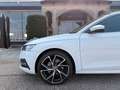 Skoda Octavia Combi 2,0 TDI Style DSG/AHK/ACC/SHA/TWA/RFK/SHZ... Weiß - thumbnail 13
