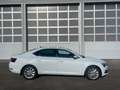Skoda Superb Lim. Ambition, LED,DSG,5J. Garantie Weiß - thumbnail 7