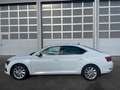 Skoda Superb Lim. Ambition, LED,DSG,5J. Garantie Weiß - thumbnail 8