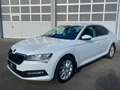 Skoda Superb Lim. Ambition, LED,DSG,5J. Garantie Weiß - thumbnail 1