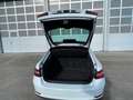 Skoda Superb Lim. Ambition, LED,DSG,5J. Garantie Weiß - thumbnail 6