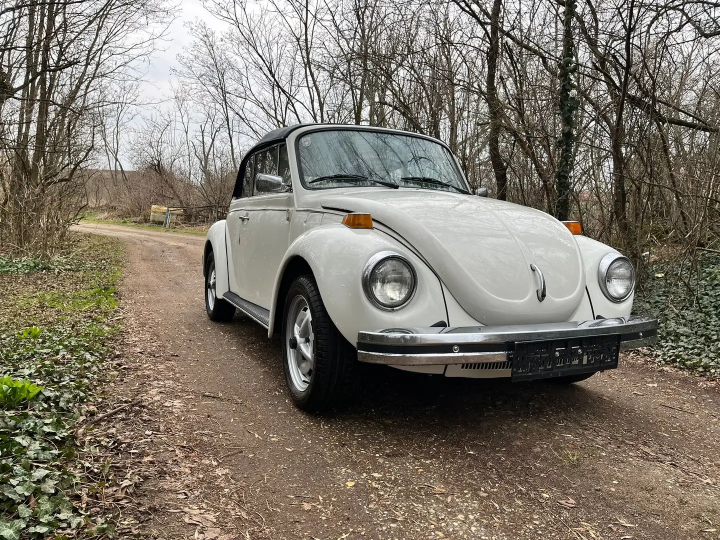 Volkswagen Käfer 1303 Cabrio Weiß - 2